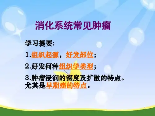 消化系统肿瘤PPT课件
