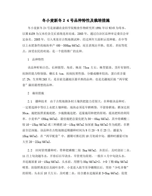 冬小麦新冬24号品种特性及栽培措施