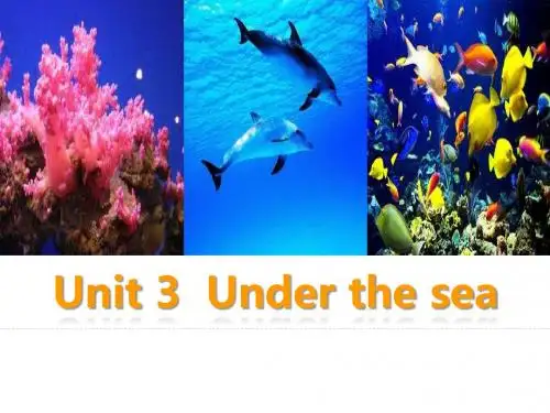 2020人教版英语选修七 Unit 3  Under the sea Grammar