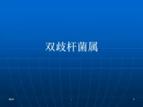 双歧杆菌、芽孢杆菌、梭形芽孢杆菌的生物特性ppt课件