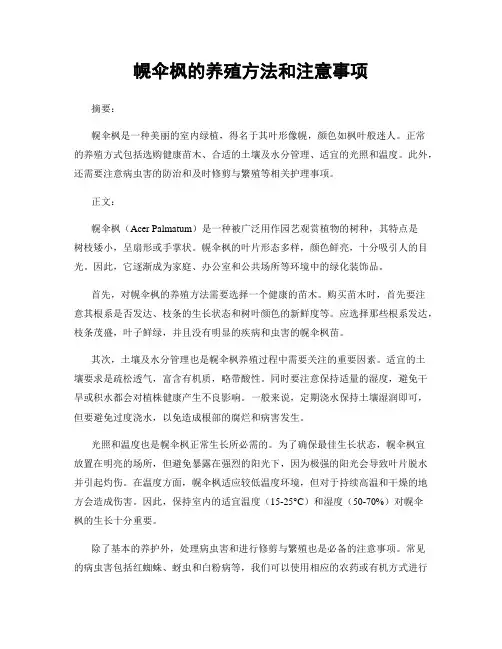 幌伞枫的养殖方法和注意事项