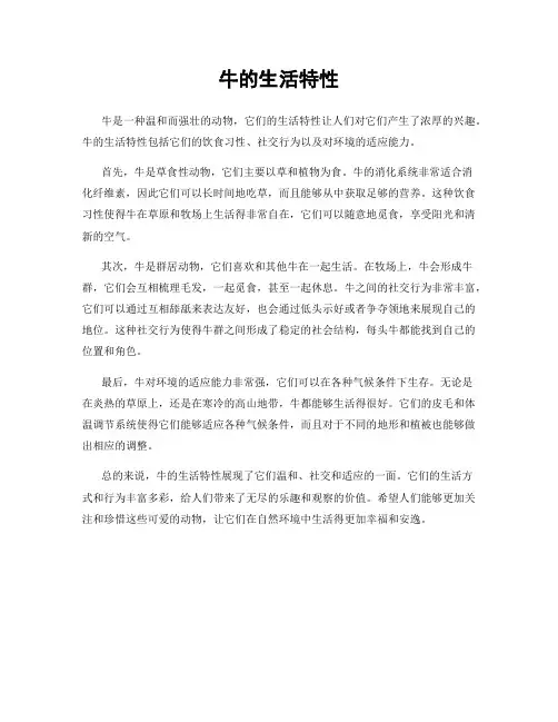 牛的生活特性