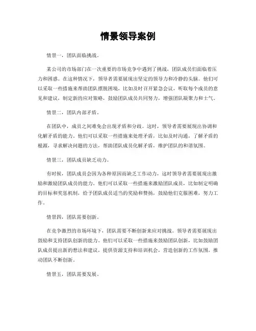 情景领导案例