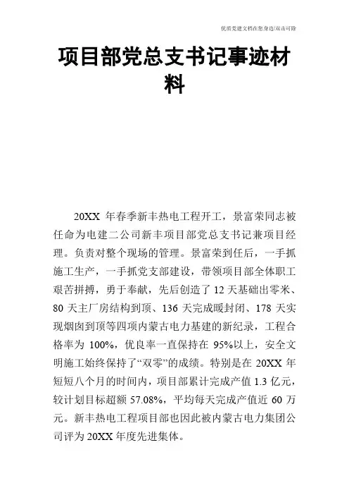 项目部党总支书记事迹材料