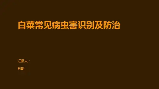 白菜常见病虫害识别及防治