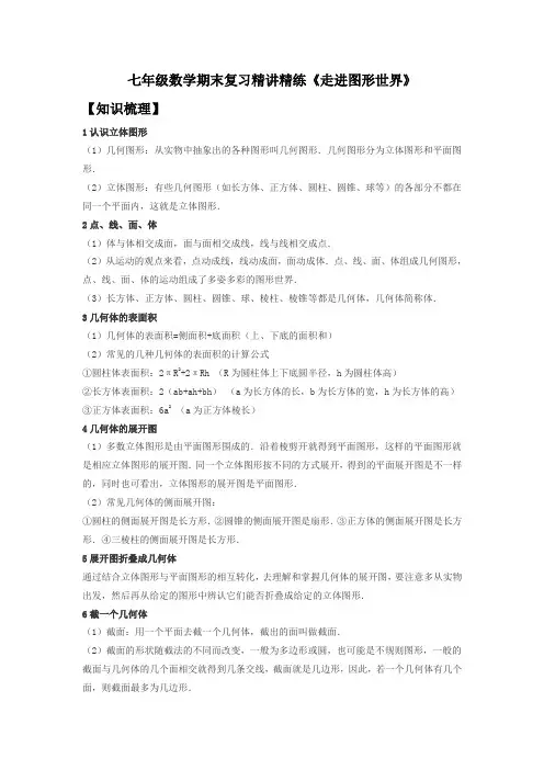 七年级数学期末复习精讲精练《走进图形世界》