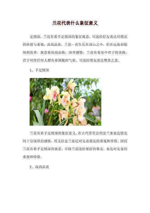 兰花代表什么象征意义