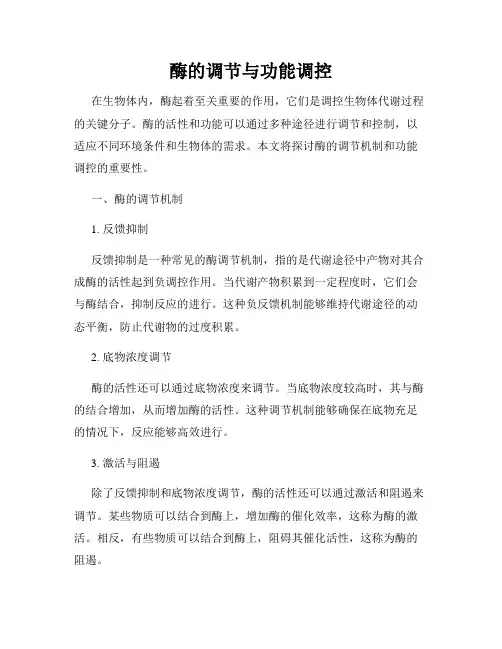 酶的调节与功能调控
