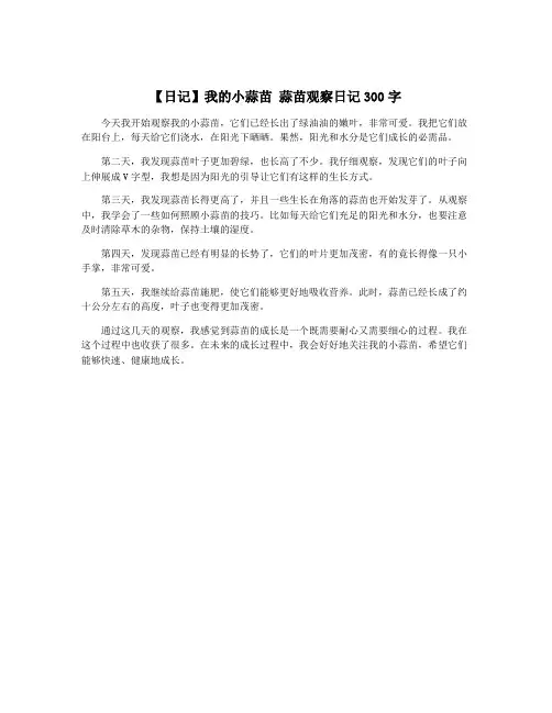 【日记】我的小蒜苗 蒜苗观察日记300字