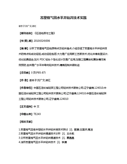 苏里格气田水平井钻井技术实践