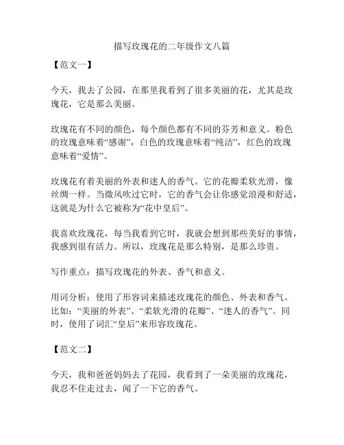 描写玫瑰花的二年级作文八篇