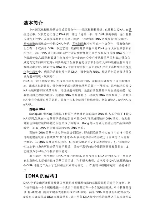 DNA基本简介