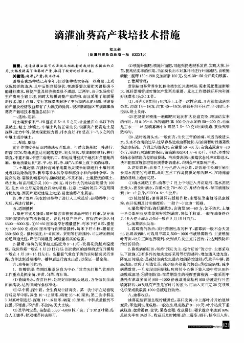 滴灌油葵高产栽培技术措施
