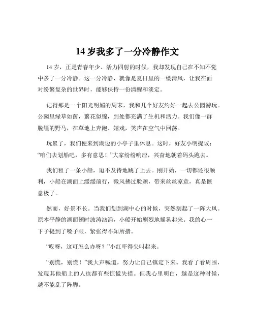 14岁我多了一分冷静作文