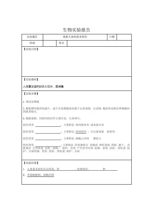 初中生物实验报告观察人体的基本组织