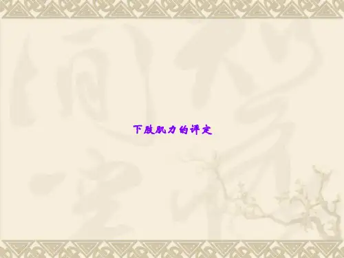 下肢肌力的评定