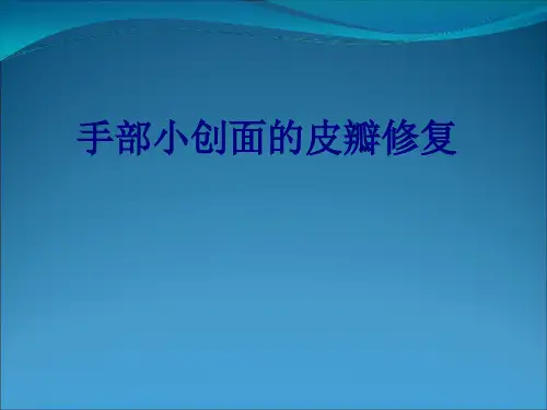 手部小创面的皮瓣修复PPT培训课件