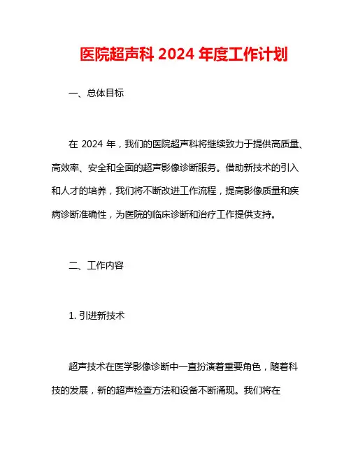 医院超声科2024年度工作计划