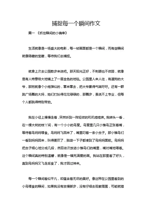 捕捉每一个瞬间作文