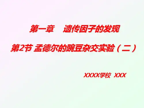 孟德尔的豌豆杂交实验二课件ppt