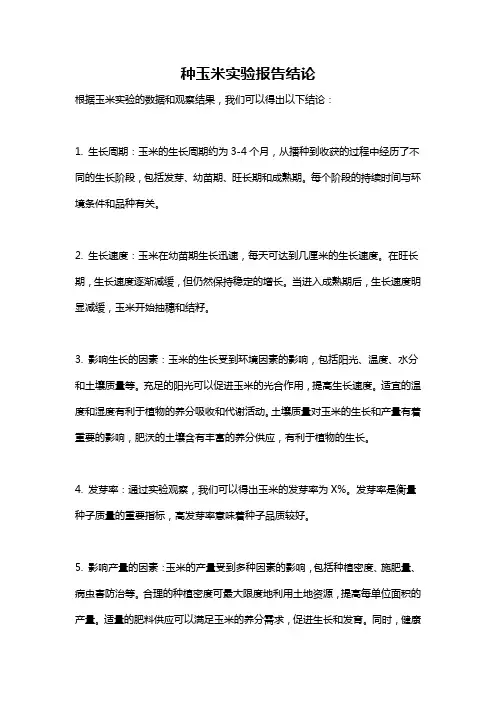 种玉米实验报告结论