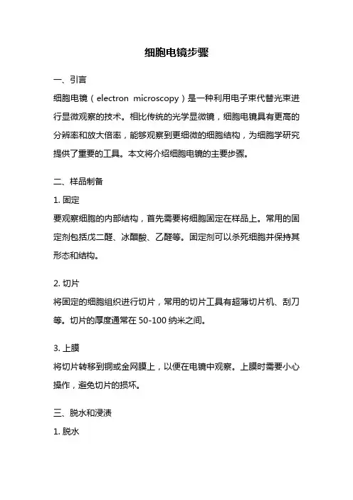 细胞电镜步骤