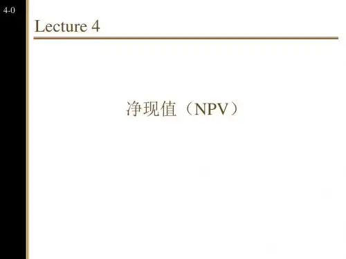 公司理财净现值(NPV)