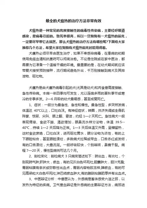 最全的犬瘟热的治疗方法非常有效