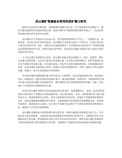 武山铜矿资源综合利用和找矿潜力研究