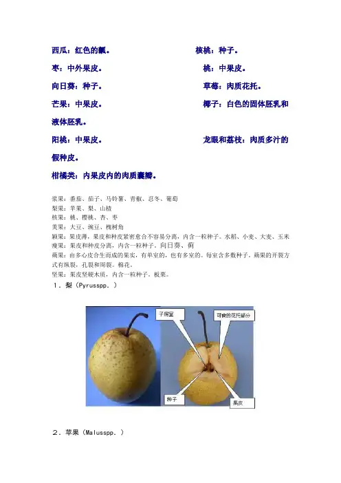 生物学中的果实问题