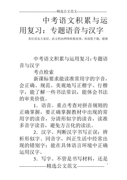 中考语文积累与运用复习：专题语音与汉字