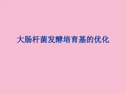 实验四大肠杆菌发酵培养基的优化ppt课件