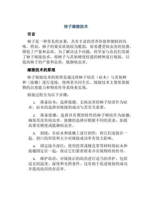 柿子嫁接技术