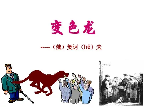部编版九下语文《变色龙》课件PPT