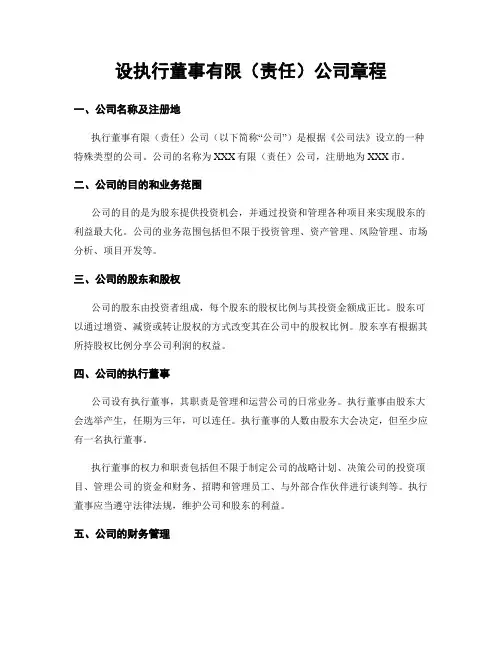 设执行董事有限(责任)公司章程