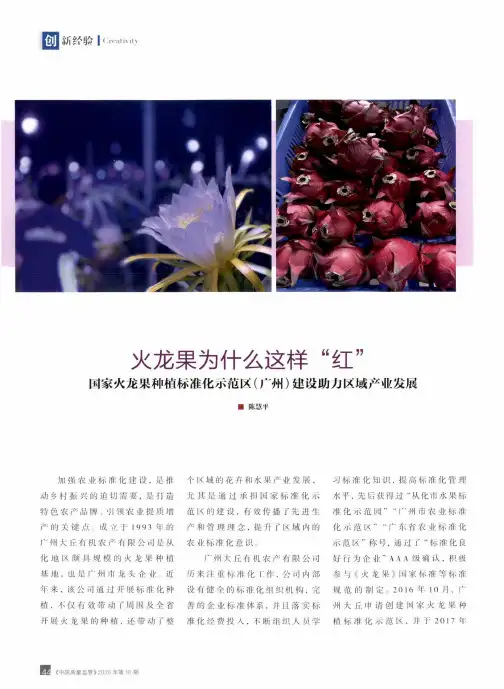 火龙果为什么这样“红” 国家火龙果种植标准化示范区(广州)建设助力区域产业发展