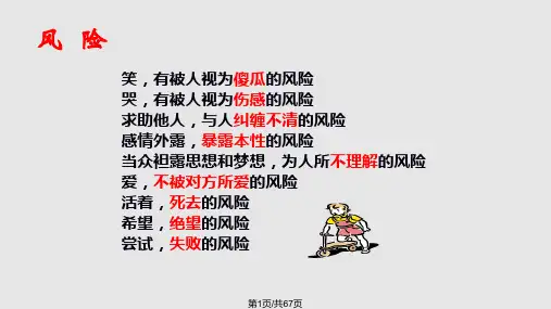 大学生创业风险PPT课件