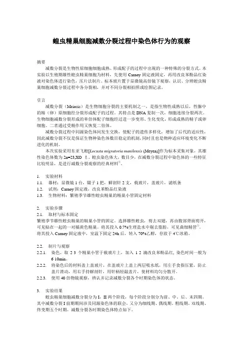 1 蝗虫精巢细胞减数分裂过程中染色体行为的观察