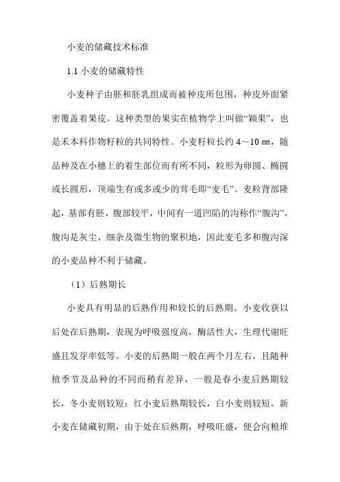 小麦的储藏技术标准