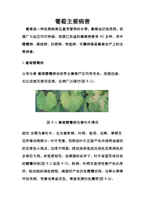 《葡萄主要病害》word版