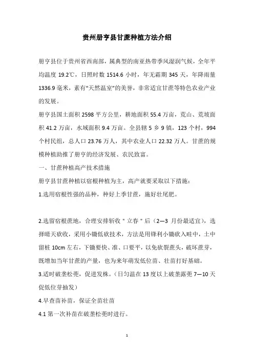 贵州册亨县甘蔗种植方法介绍