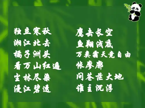 抗生素的分类及临床用药选择