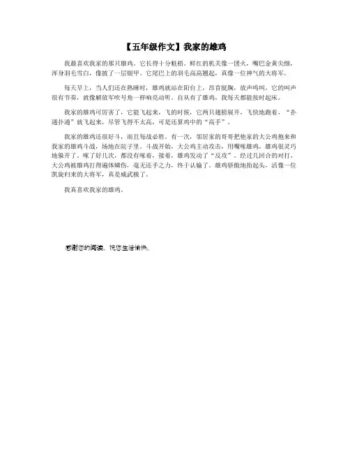 【五年级作文】我家的雄鸡