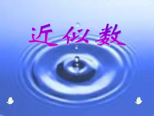 近似数