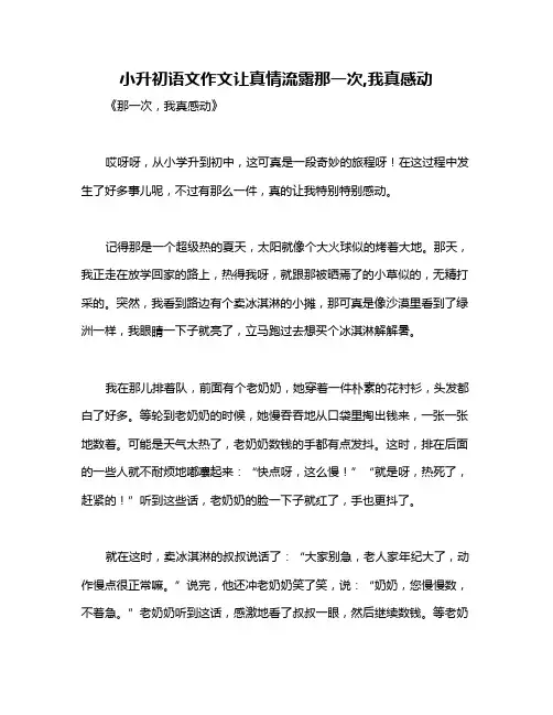 小升初语文作文让真情流露那一次,我真感动