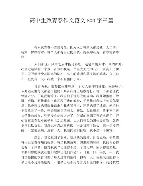 高中生致青春作文范文800字三篇