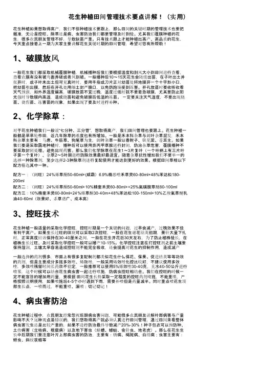 花生种植田间管理技术要点讲解！（实用）