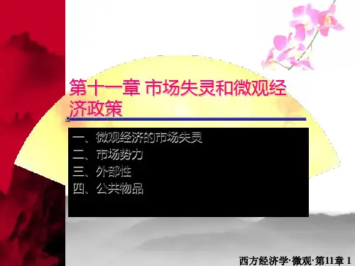 微观经济学 第十一章 市场失灵和微观经济政策PPT课件