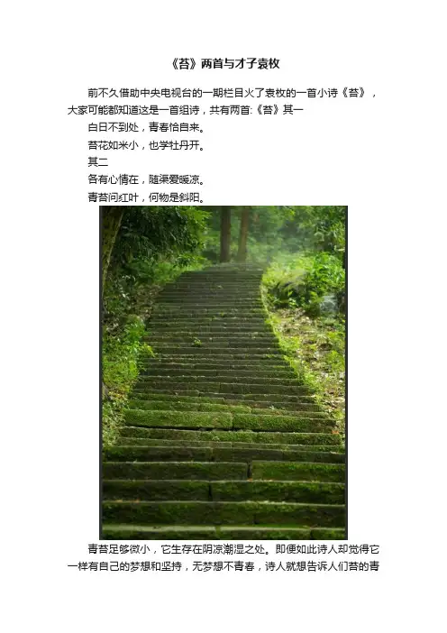《苔》两首与才子袁枚