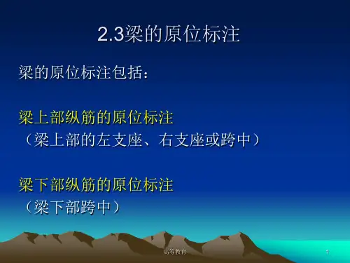 梁-集中标注原位标注讲解[专业知识]